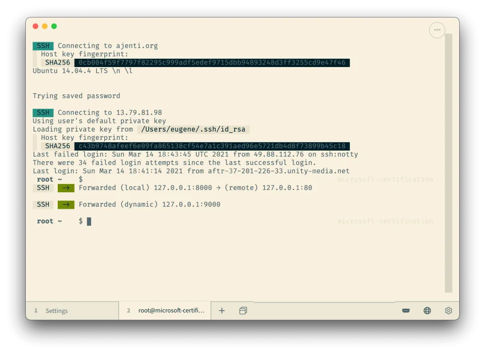 跨平台终端神器Tabby v1.0.208绿色便携版