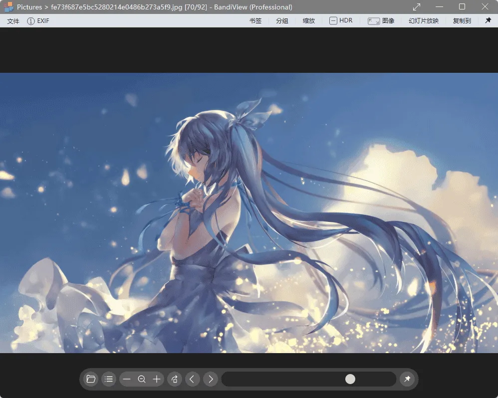 BandiView 蜂蜜浏览器 v7.06 中文专业版