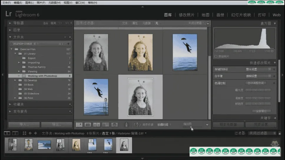 Lightroom 6基础入门全面技能培训视频教程