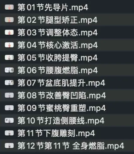 11天腰臀腿塑形健身课程：快速减脂塑形