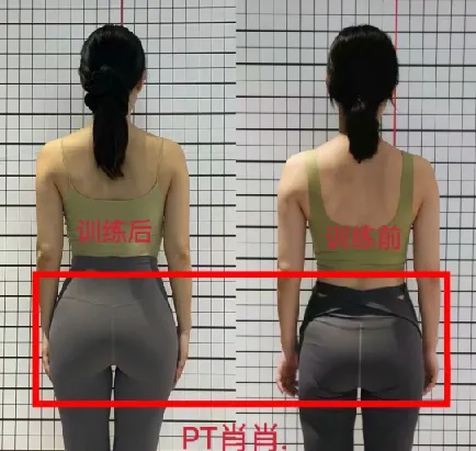 11天腰臀腿塑形健身课程：快速减脂塑形