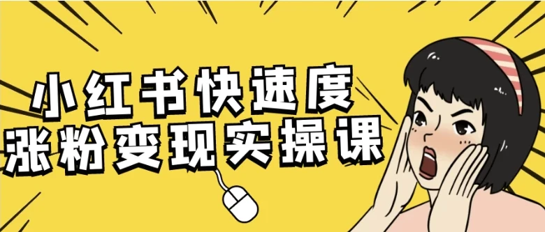 小红书快速涨粉变现实操课程