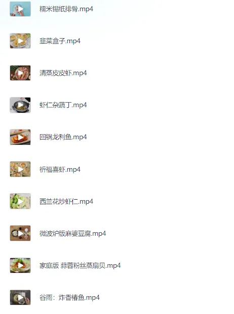 100道经典名菜制作视频教程