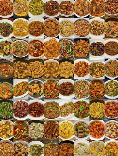 100道经典名菜制作视频教程