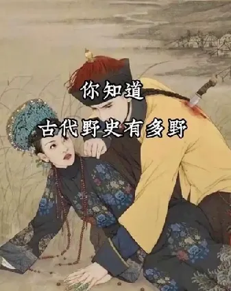 历朝历代野史秘史文献合集