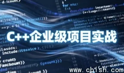 C++企业级项目实战课程