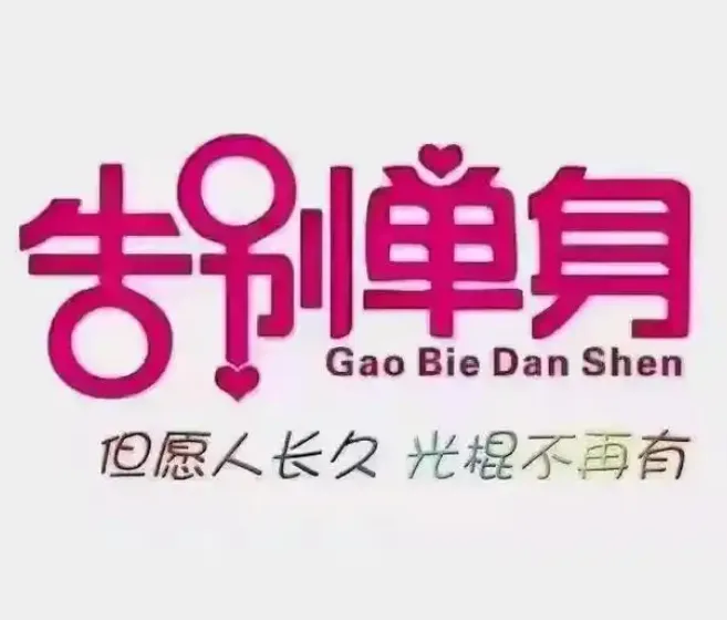 恋爱情报局:脱单12技课程