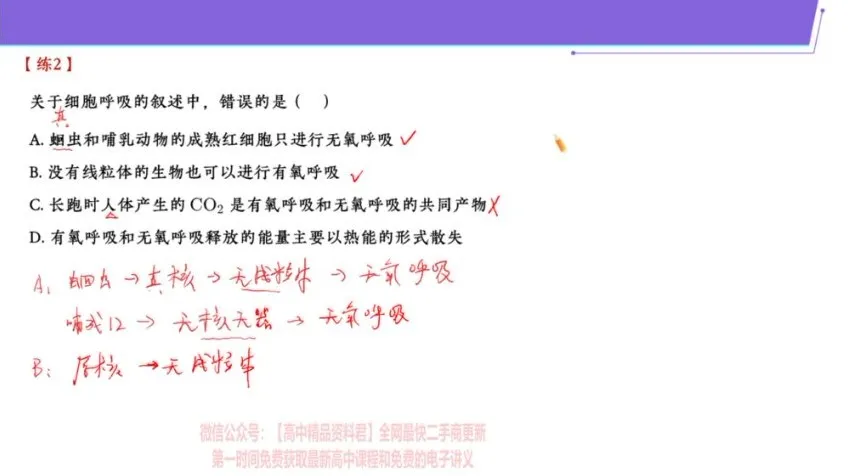 2024高三生物张元振全年班：核心考点专题精讲