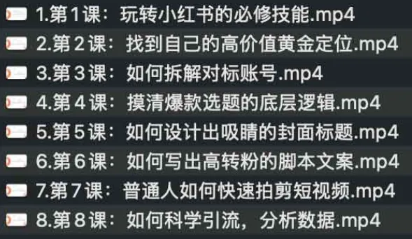 小红书21天实战课：从0-1打造变现账号