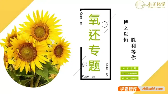 木子高考化学一轮复习课程