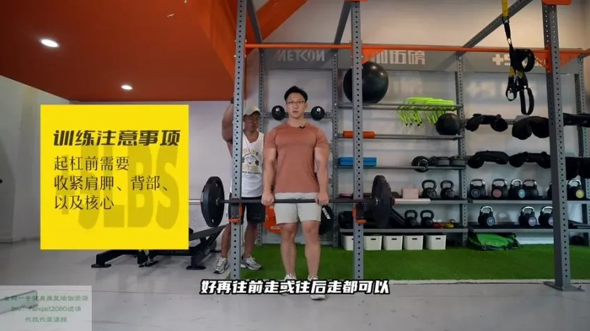 小萝卜四分化高阶健身课程:全年增肌训练指南