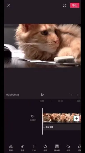 余成抖音同城运营实战课：实体店引流变现秘籍