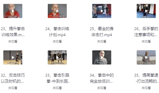 杰森拳击系统教学中英字幕课程
