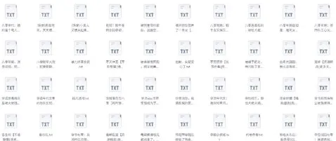 书旗会员完结小说500本精校TXT合集推荐