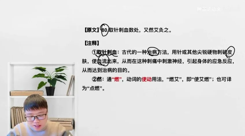 文言文入门必修课：20节精讲与40篇经典带读