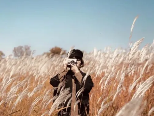 手机摄影训练营：随手拍出大片