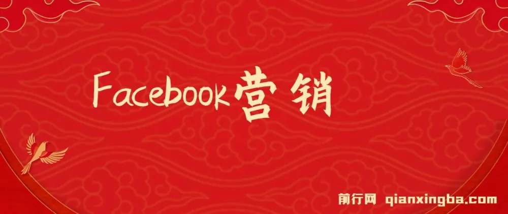 Facebook营销实战：掌握潜在客户开发与再营销技巧