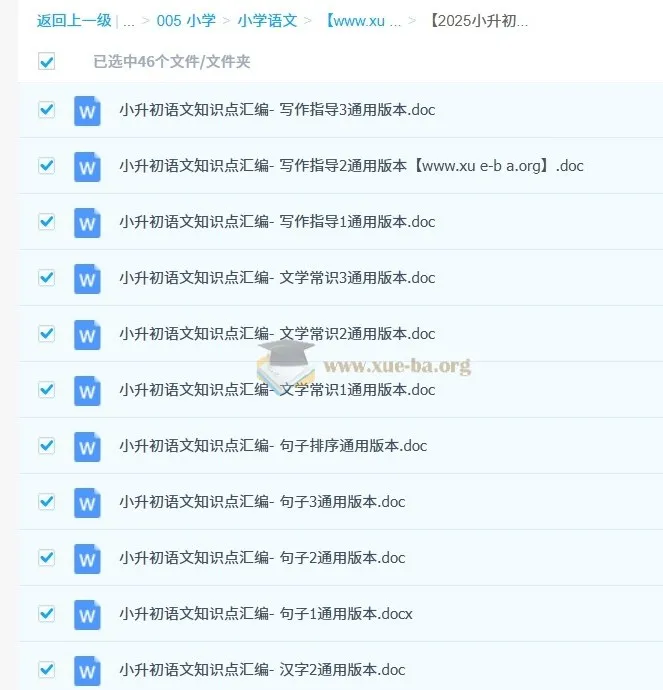 小升初语文总复习专项知识点汇总