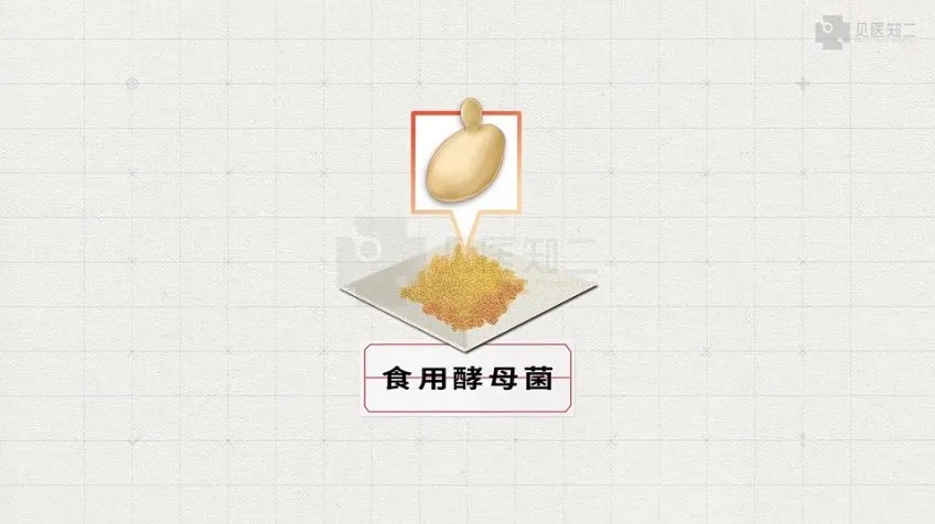 2025高考生物基因工程、跨膜运输与细胞呼吸专题精讲