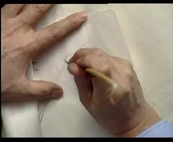 工笔画入门4讲课程：掌握基础技法