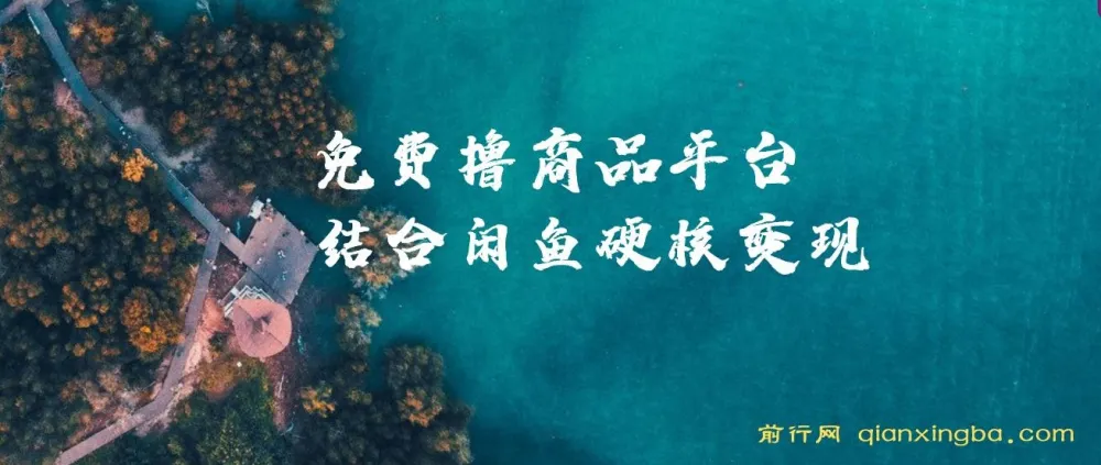 蚁淘生活与闲鱼双平台变现课程，小白轻松上手