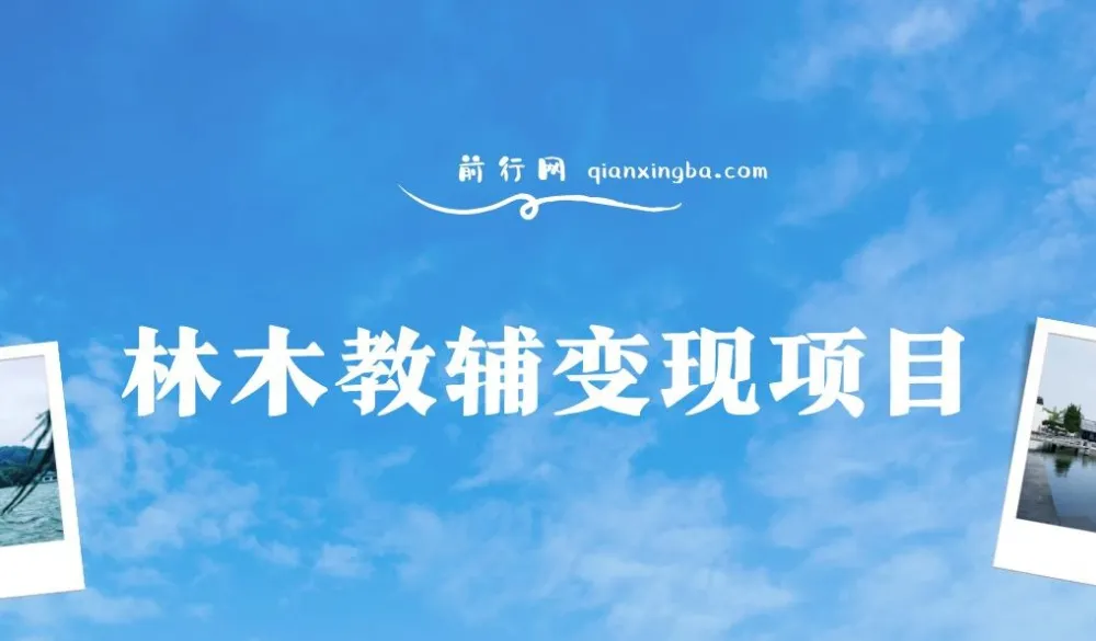 林木教辅变现项目：教引流变现，附资料资源