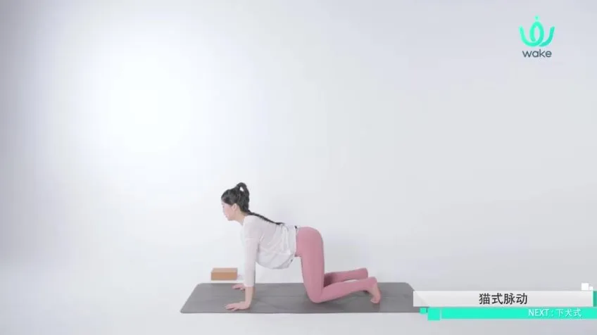 王媛14天零基础瑜伽速成课