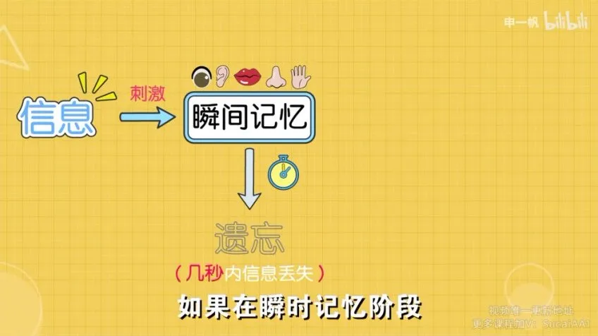 全学科高效提分：超强记忆力训练秘籍