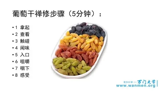 情绪管理学习：视频与课件资料全解