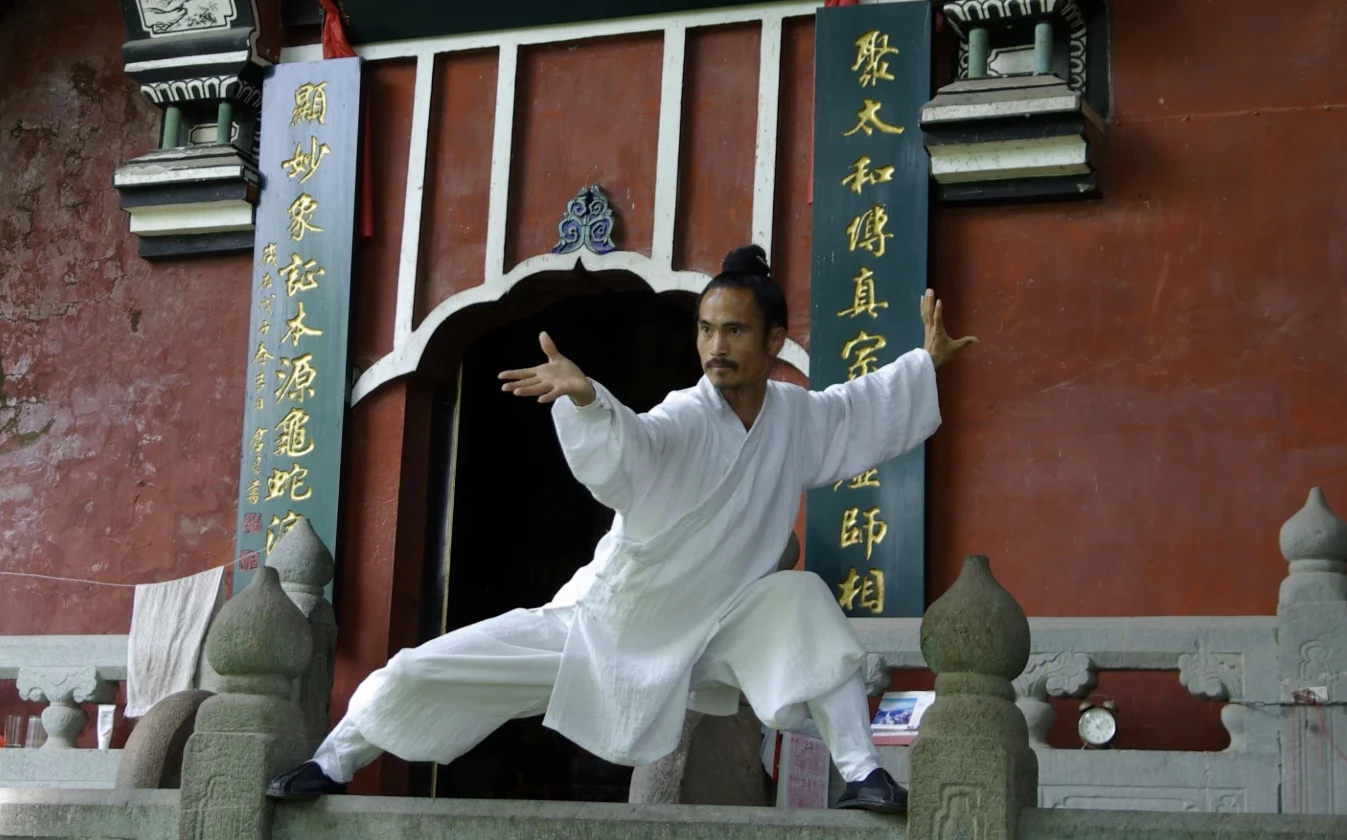 武当袁师懋道长养生八段锦教学资源