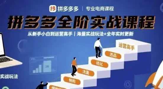 大炮拼多多全阶实战课程：从新手到运营高手，海量玩法全年更新