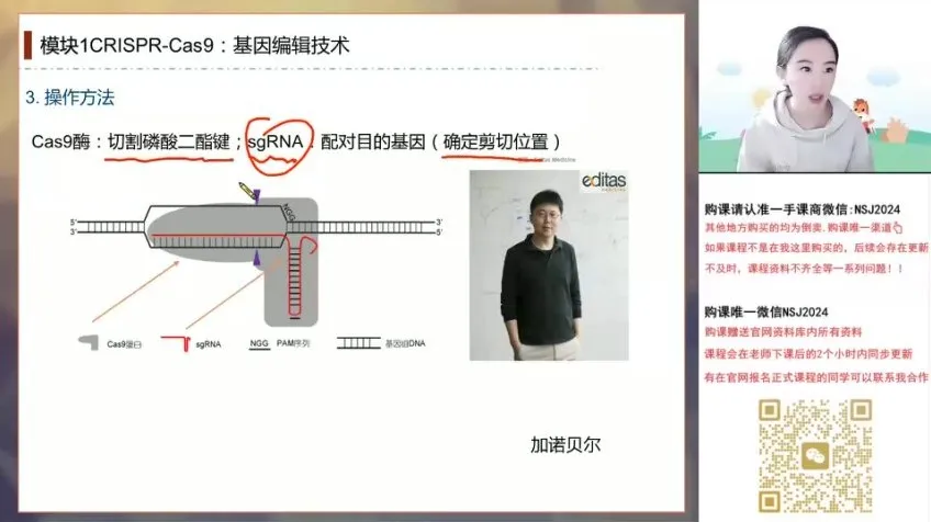 2024高考马阳洋生物二轮冲刺班：稳态与生态专题