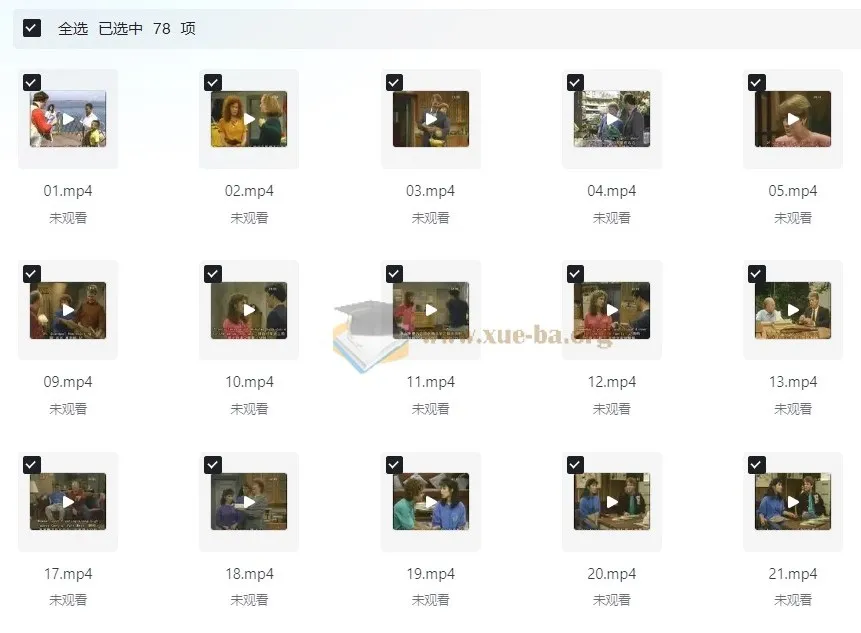 《走遍美国》学口语:中文讲解版+原版中英字幕(适合中级水平及高中生)