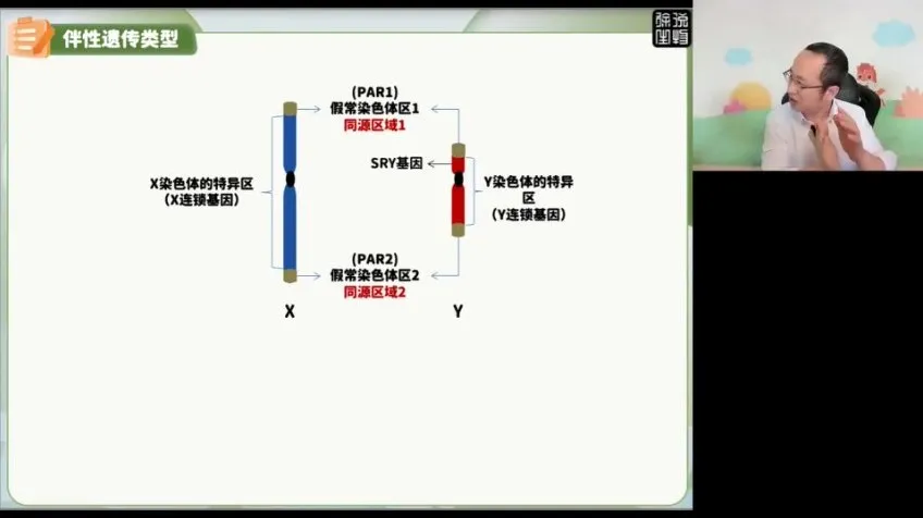 2024徐京高考生物点睛押题卷（含全国各省卷及解析）