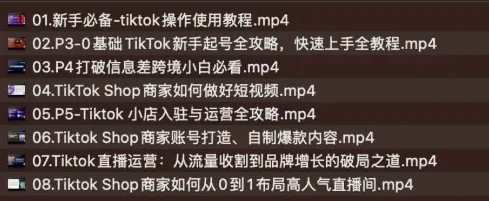 TikTok跨境电商新手起号与运营全攻略:零基础入门到实战