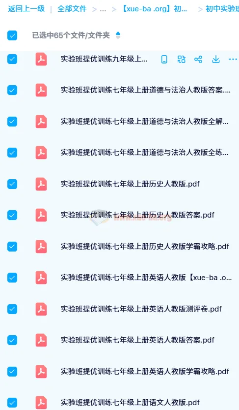 初中实验班提优训练