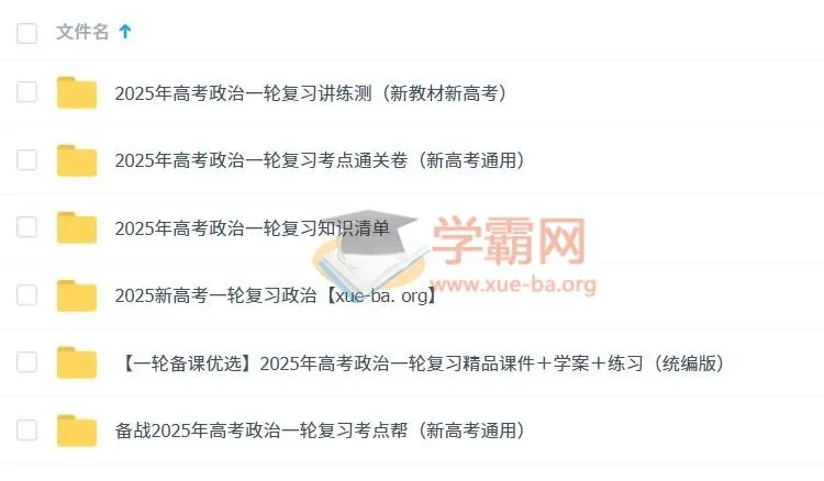 2025新高考高考政治一轮复习资料合集