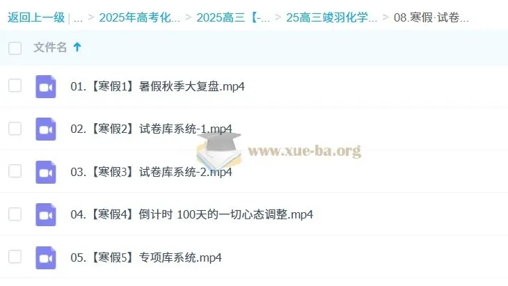 2025高三高考化学二轮课程（竣羽）