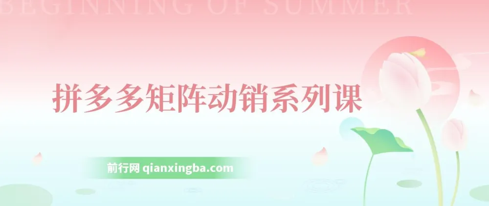 拼多多店铺矩阵玩法课程：低客单自然流与轻付费矩阵动销及核心权重提升