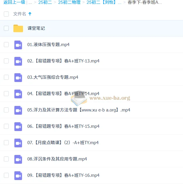 2024 - 2025 初二物理刘怡 A+ 全学年课程