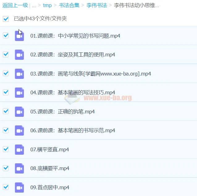 李伟书法幼小思维书写精品课