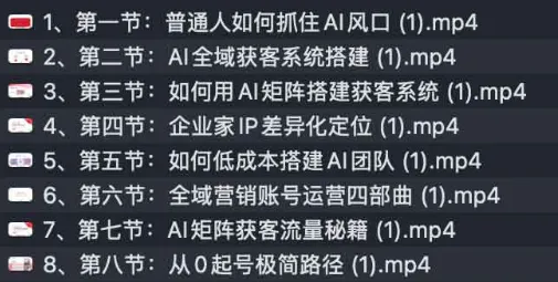 AI全域获客实训营：2025低成本高转化智能营销课程