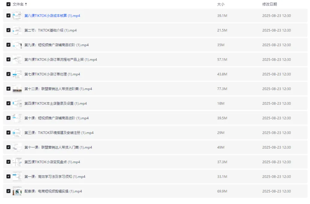 TikTok跨境电商全流程课程：从入门到实操，掌握流量变现与小店运营