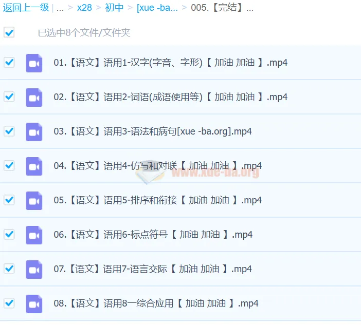 2024中考语文语言文字运用一本通（完结版）