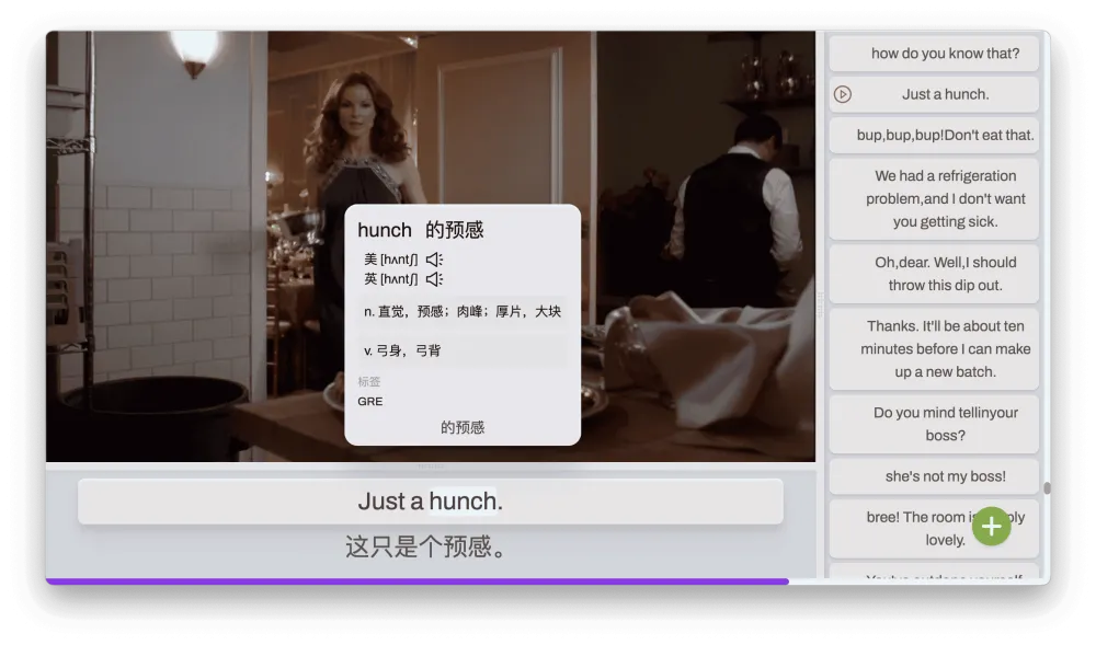 DashPlayer 视频播放器:助力英文视频学习