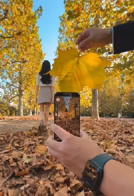 零基础学手机拍摄剪辑,打造高级感短片课程