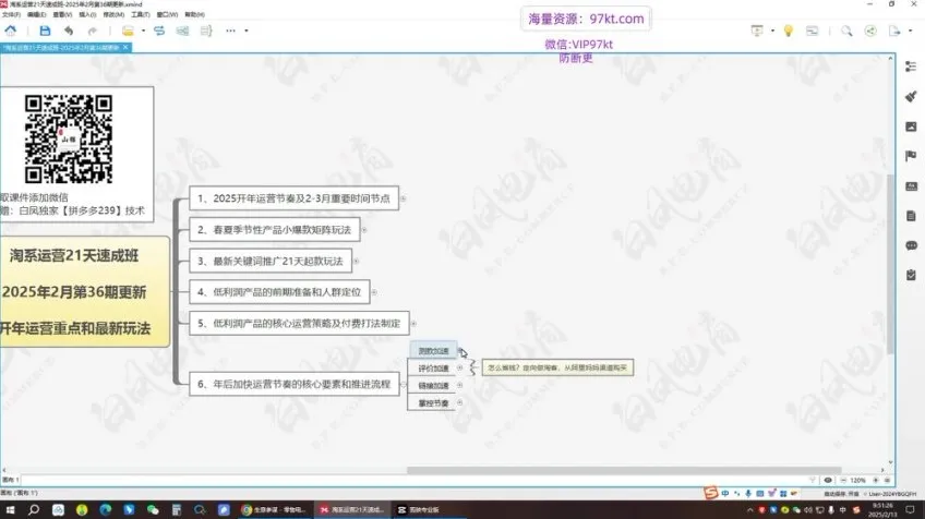 白凤电商21天淘系运营速成班：2025最新玩法与万相台无界实战