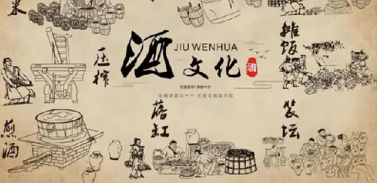 《酒与养生：喝酒技术全解析》