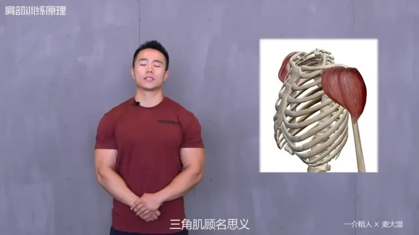 一介粗人×麦大湿：肩部训练3大核心技巧与错误纠正课程