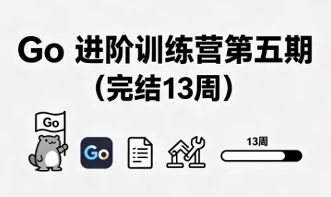 Go 进阶训练营第五期（完结 13 周）